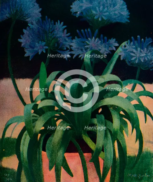 'Agapanthus', 1914, (c1932). Artist: Mark Gertler.