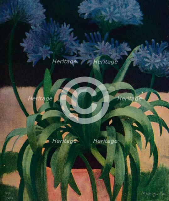 'Agapanthus', 1914, (c1932). Artist: Mark Gertler.