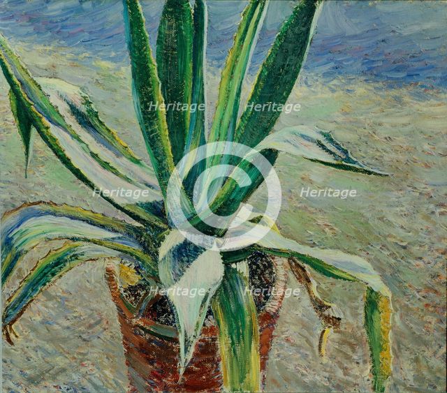 Agave, 1891. Artist: Borisov-Musatov, Viktor Elpidiforovich (1870-1905)