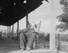 Aged cotton farmer, Greene County, Georgia, 1937. Creator: Dorothea Lange