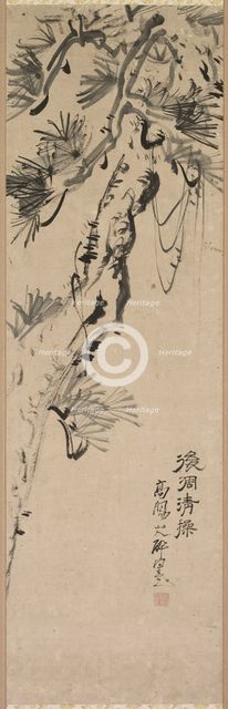 Aged Pine, 1717-1780. Creator: Nakayama Koyo (Japanese, 1717-1780).