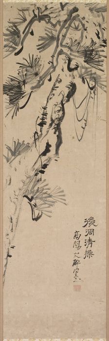 Aged Pine, 1717-1780. Creator: Nakayama Koyo (Japanese, 1717-1780)