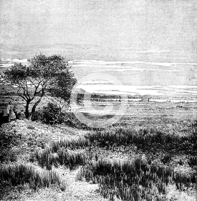 Agha Valley, Central Pampa, Argentina, 1895. Artist: Unknown