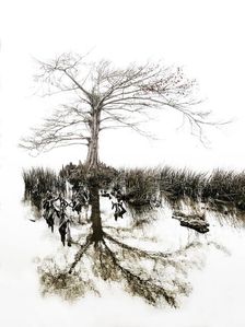 Aging Gracefully. Creator: Eve Turek