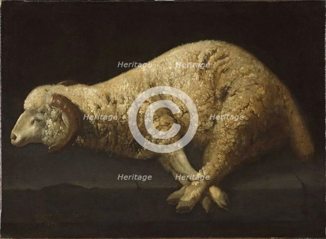Agnus Dei (Carnero con las patas atadas), c1635-1640. Creator: Francisco de Zurbaran.
