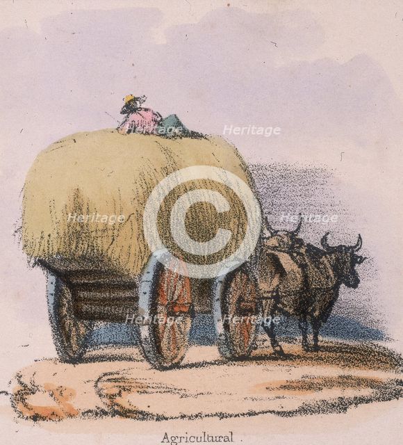 'Agricultural', c 1845. Creators: Robert Kent Thomas, Benjamin Waterhouse Hawkins.
