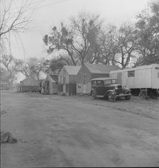 Agricultural laborers, winter quarters of migrants, near Brentwood, California , 1938. Creator: Dorothea Lange