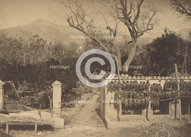 Agricultural Scene with Mountains, 1850s. Creator: Louis Crette.