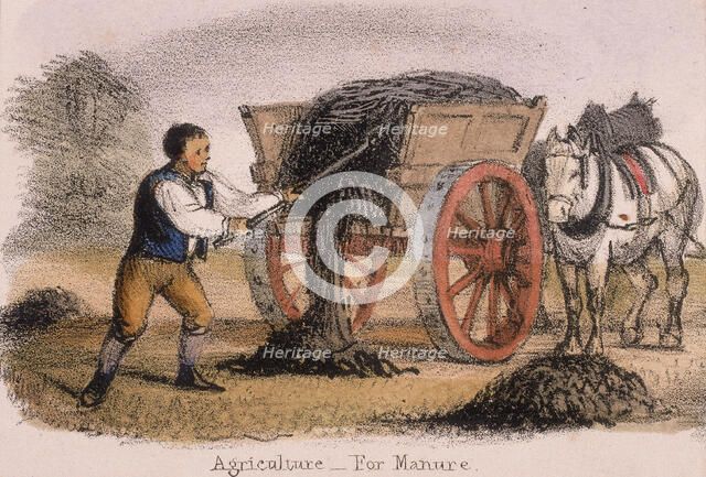 'Agriculture, for Manure', c1845. Artist: Benjamin Waterhouse Hawkins