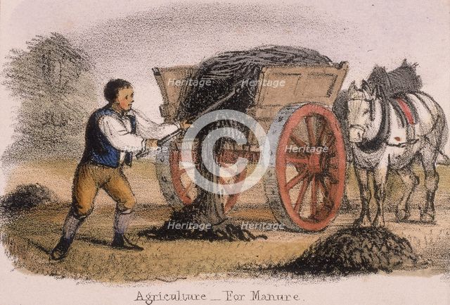'Agriculture, for Manure', c1845. Creator: Benjamin Waterhouse Hawkins.