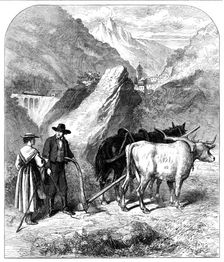 Agriculture in the Dora Valley, Mont Cenis Railway, 1871. Creator: Unknown