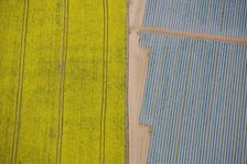 Agriculture in yellow and blue, Wood Bevington Farm, Salford Priors, Warwickshire, 2007. Artist: Historic England Staff Photographer