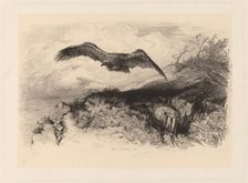 Aigle au vol. Creator: Karl Bodmer