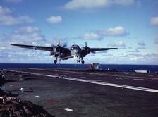 Aircraft, Falklands War, 1982. Creator: Luis Rosendo