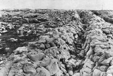 Aise et securite chez nos allies Britanniques; La consommation de sacs a terre 1916. Creator: Unknown