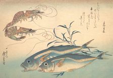 Aji Fish and Kuruma-ebi, from the series Uozukushi (Every Variety of Fish), 1830s., 1830s. Creator: Ando Hiroshige