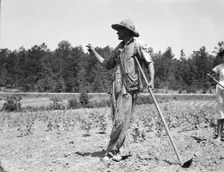 Alabama tenant farmer near Anniston, Alabama, 1936. Creator: Dorothea Lange