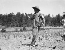 Alabama tenant farmer near Anniston, Alabama, 1936. Creator: Dorothea Lange