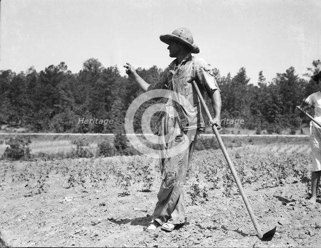 Alabama tenant farmer near Anniston, Alabama, 1936. Creator: Dorothea Lange.