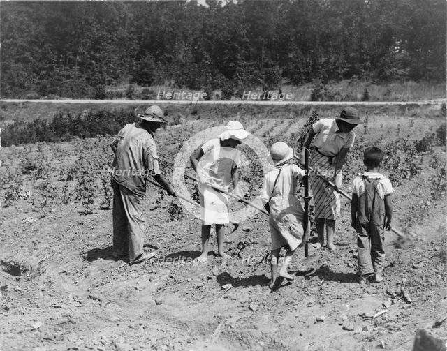 Alabama tenant farmer and children, Near Anniston, Alabama, 1936. Creator: Dorothea Lange.