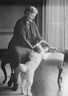 Alanson, Bertram, Mrs., with dog, portrait photograph, between 1927 and 1937. Creator: Arnold Genthe