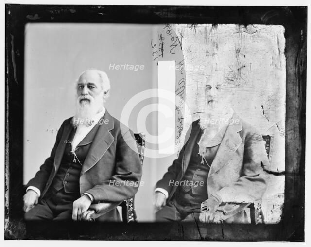 Albert, between 1865 and 1880. Creator: Unknown.