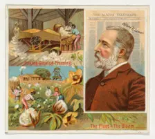 Albert R. Lamar, The Macon Telegraph, from the American Editors series (N35) for Allen & G..., 1887. Creator: Allen & Ginter