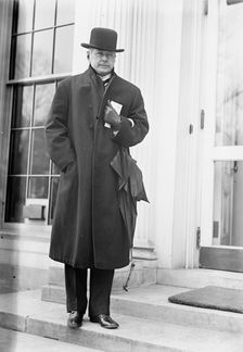 Albert Sidney Burleson, Rep. from Texas, 1913. Creator: Harris & Ewing