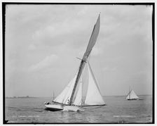 Alborak, 1891 July 16. Creator: Unknown