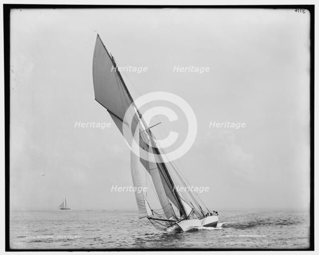 Alborak, 1891 July 16. Creator: Unknown.