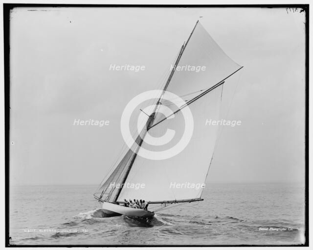 Alborak, 1891 July 16. Creator: Unknown.