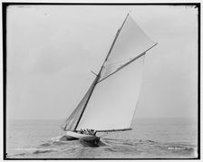 Alborak, 1891 July 16. Creator: Unknown