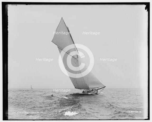 Alborak, 1891 July 16. Creator: Unknown.