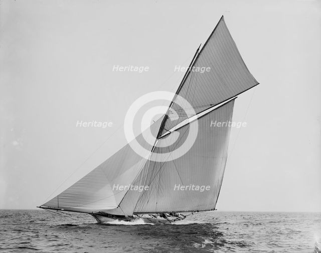 Alborak, between 1880 and 1899. Creator: Unknown.