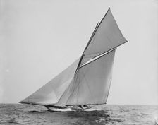 Alborak, between 1880 and 1899. Creator: Unknown