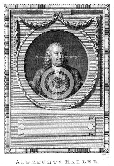 Albrecht von Haller, Swiss physician and scientist, c1770 (c1780). Creator: Unknown.