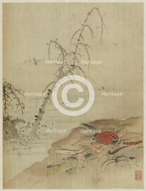 Album, 1661. Creator: Bin Xie.