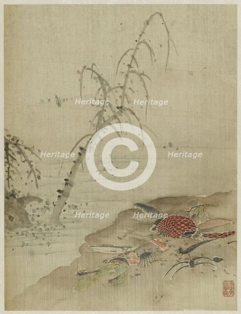 Album, 1661. Creator: Bin Xie.