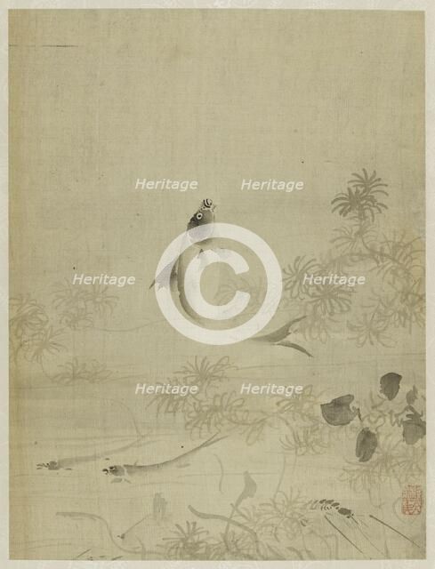 Album, 1661. Creator: Bin Xie.