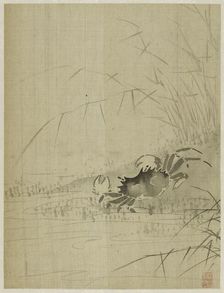 Album, 1661. Creator: Bin Xie