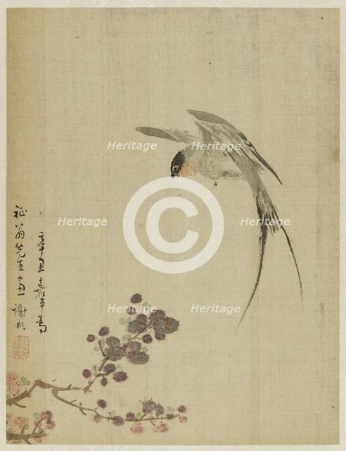 Album, 1661. Creator: Bin Xie.