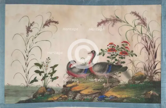 Album Containing Twelve Paintings of Birds, 19th century. Creator: Unknown.