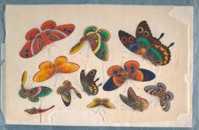 Album Containing Twelve Paintings of Insects, 19th century. Creator: Unknown