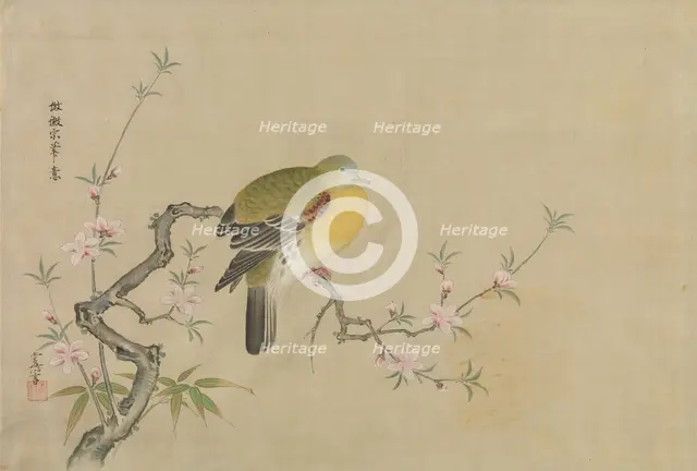 Album of Copies of Chinese Paintings, 17th century. Creator: Kanô Yôboku Tsunenobu.