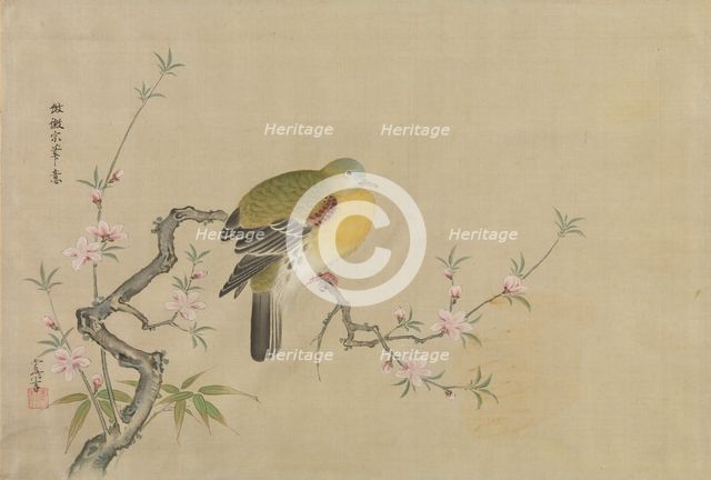 Album of Copies of Chinese Paintings, 17th century. Creator: Kanô Yôboku Tsunenobu.