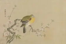 Album of Copies of Chinese Paintings, 17th century. Creator: Kanô Yôboku Tsunenobu