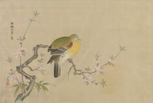 Album of Copies of Chinese Paintings, 17th century. Creator: Kanô Yôboku Tsunenobu
