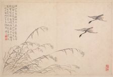 Album of Calligraphy and Paintings, 18th Century. Creator: Bian Shoumin (Chinese, 1684-1752)