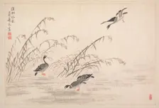 Album of Calligraphy and Paintings, 18th Century. Creator: Bian Shoumin (Chinese, 1684-1752)