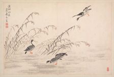 Album of Calligraphy and Paintings, 18th Century. Creator: Bian Shoumin (Chinese, 1684-1752)